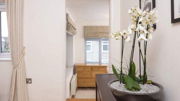 A hallway with a potted orchid plant on a table, a wooden bench, and a door leading to another room. - 1 Bedroom Flat in South Kensington (London)