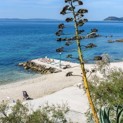 Di pantai