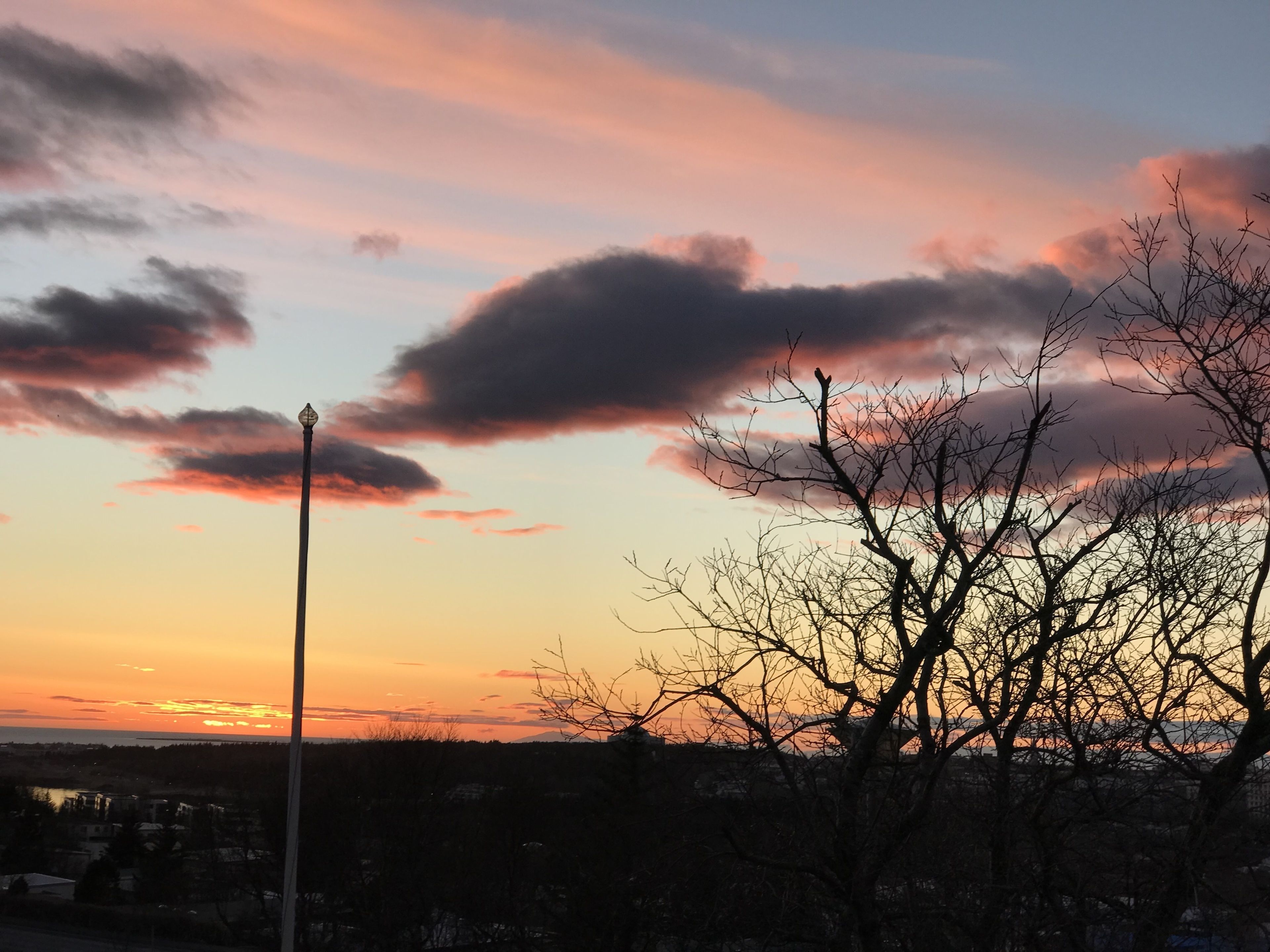 A sunset with a clear sky, a streetlight, and leafless trees.