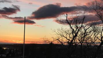 A sunset with a clear sky, a streetlight, and leafless trees.