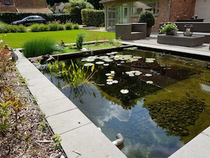 Property grounds - A great place to see Bruges, Ghent and the coast of Flanders (Oostkamp)