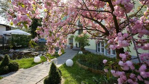 A garden with a paved walkway, pink flowering trees, and a building in the background. - Hotel Rosenvilla (Salzburg)