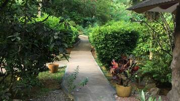 A concrete pathway flanked by lush greenery and potted plants, leading to a rustic building with a sloped roof.