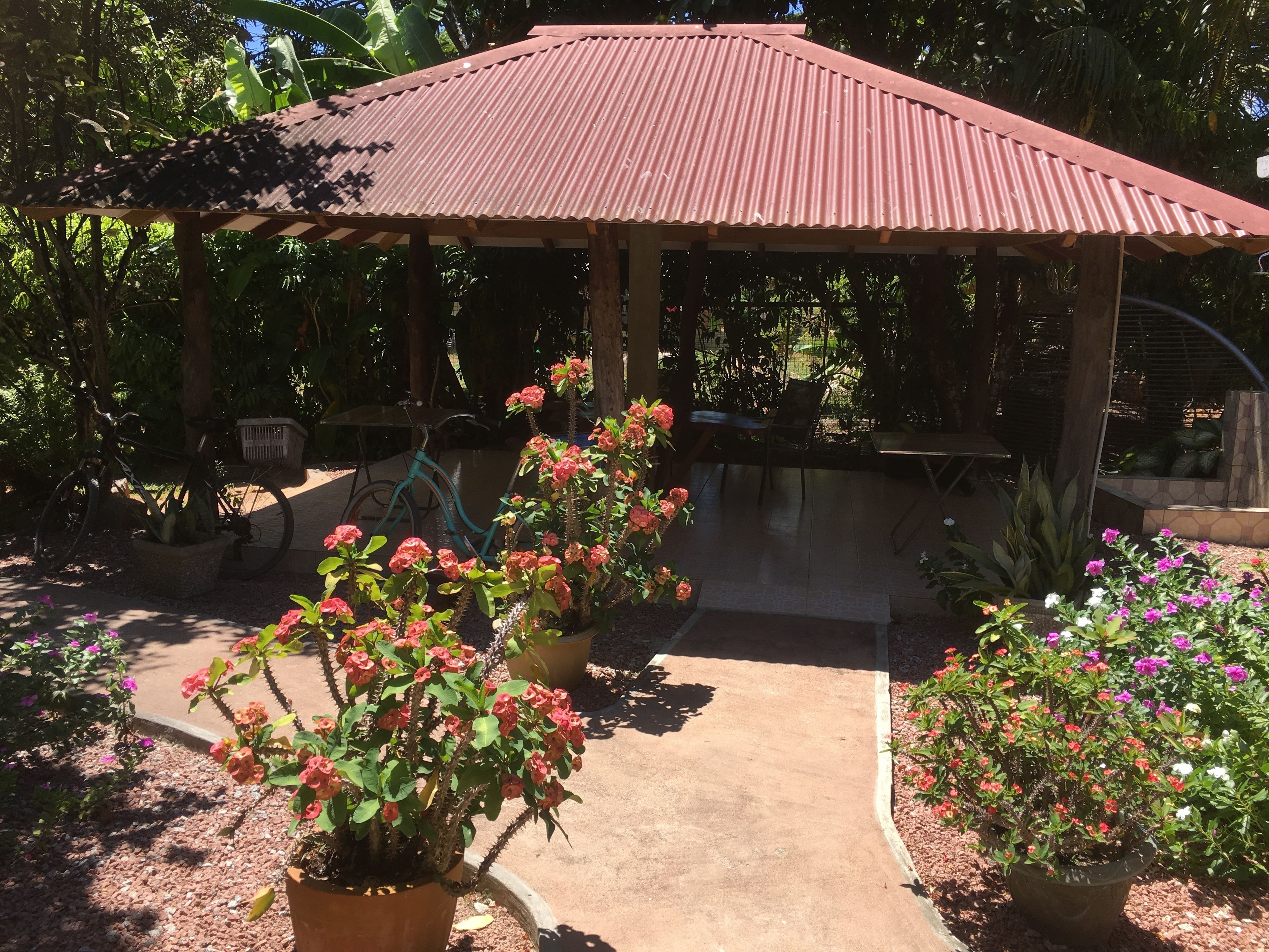 A covered outdoor area with a corrugated metal roof, surrounded by potted plants and flowers.