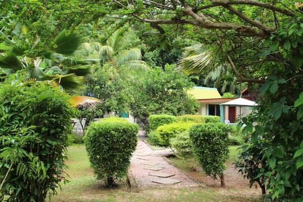 A pathway leading to a building surrounded by lush greenery and palm trees.