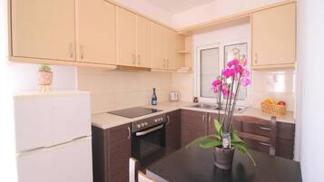 Penthouse Apartment | Lydisolert, strykejern/-brett og wi-fi (inkludert)