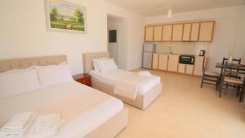 Studio Apartment, Sea View | Lydisolert, strykejern/-brett og wi-fi (inkludert)