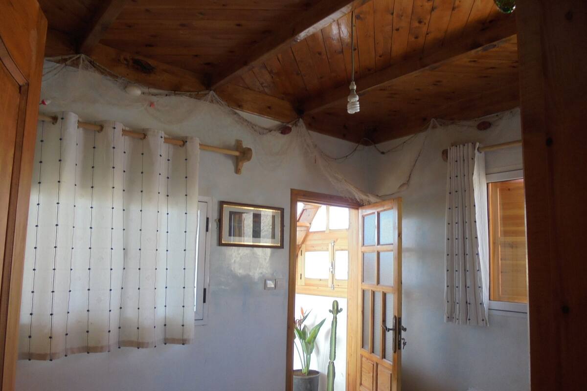 Design Penthouse, Beach View, Oceanfront | Blackout drapes, WiFi (free), individually decorated