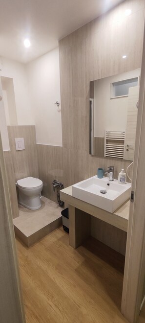 A modern bathroom with a toilet, sink, and mirror. - Vroom510 (Verona)