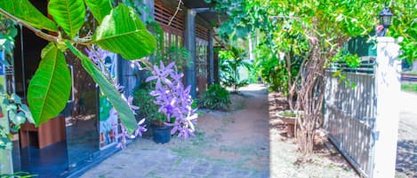 Khuôn viên nơi lưu trú