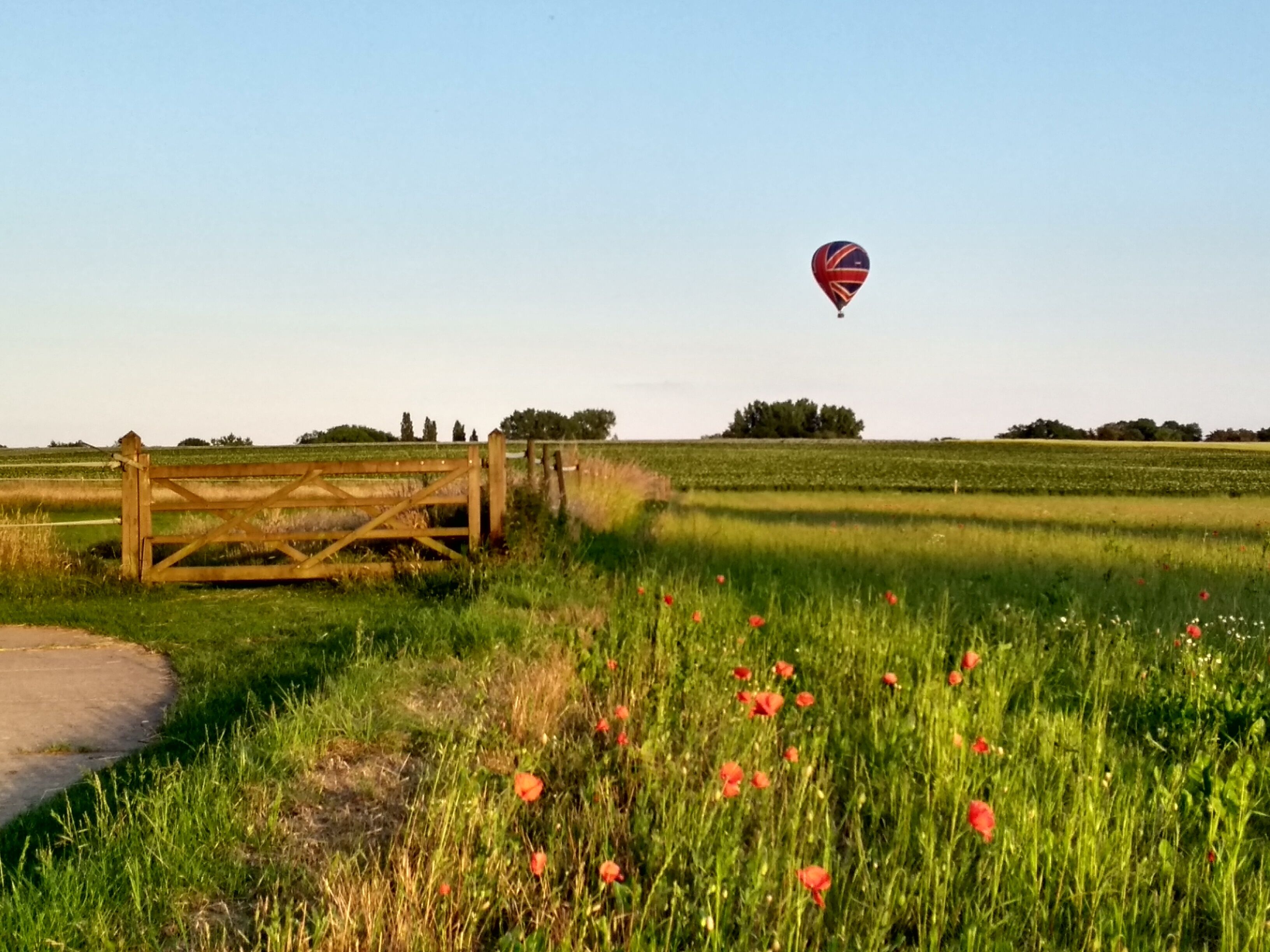 A rural landscape with a wooden gate, a field of poppies, and a hot air balloon in the distance.