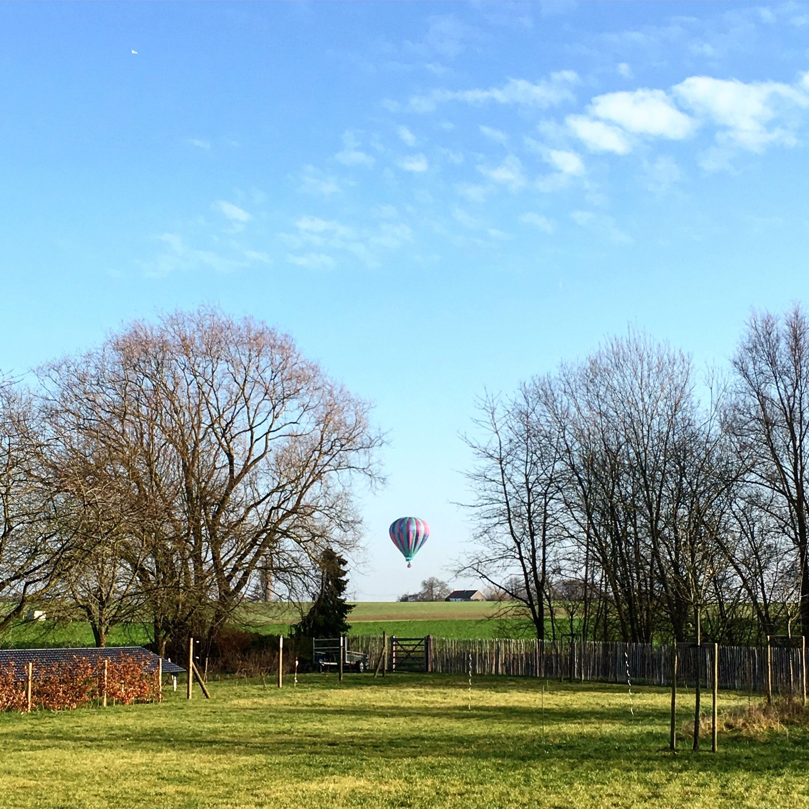 Ein klarer Himmel mit einem ferngesichteten Heißluftballon, umgeben von Bäumen und offenen Feldern.