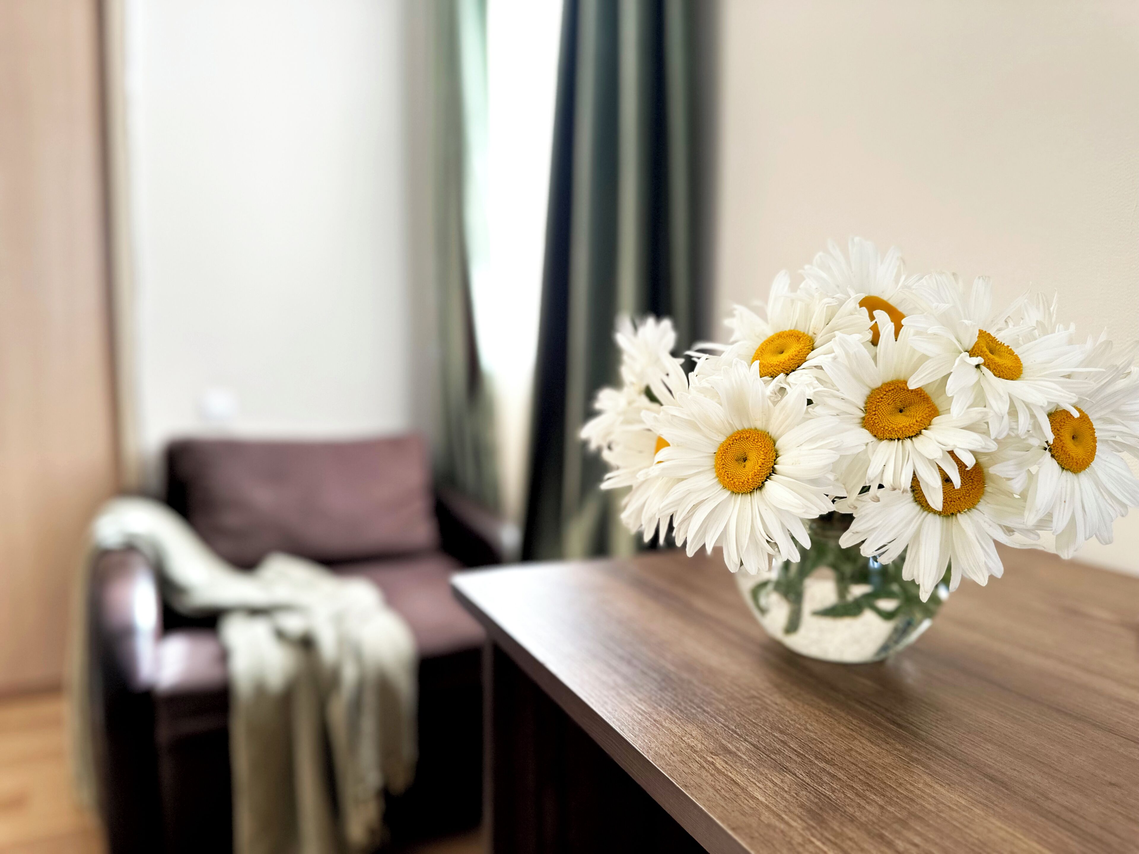 standard double or twin room, city view | premium bedding, minibar, in-room safe, blackout curtains