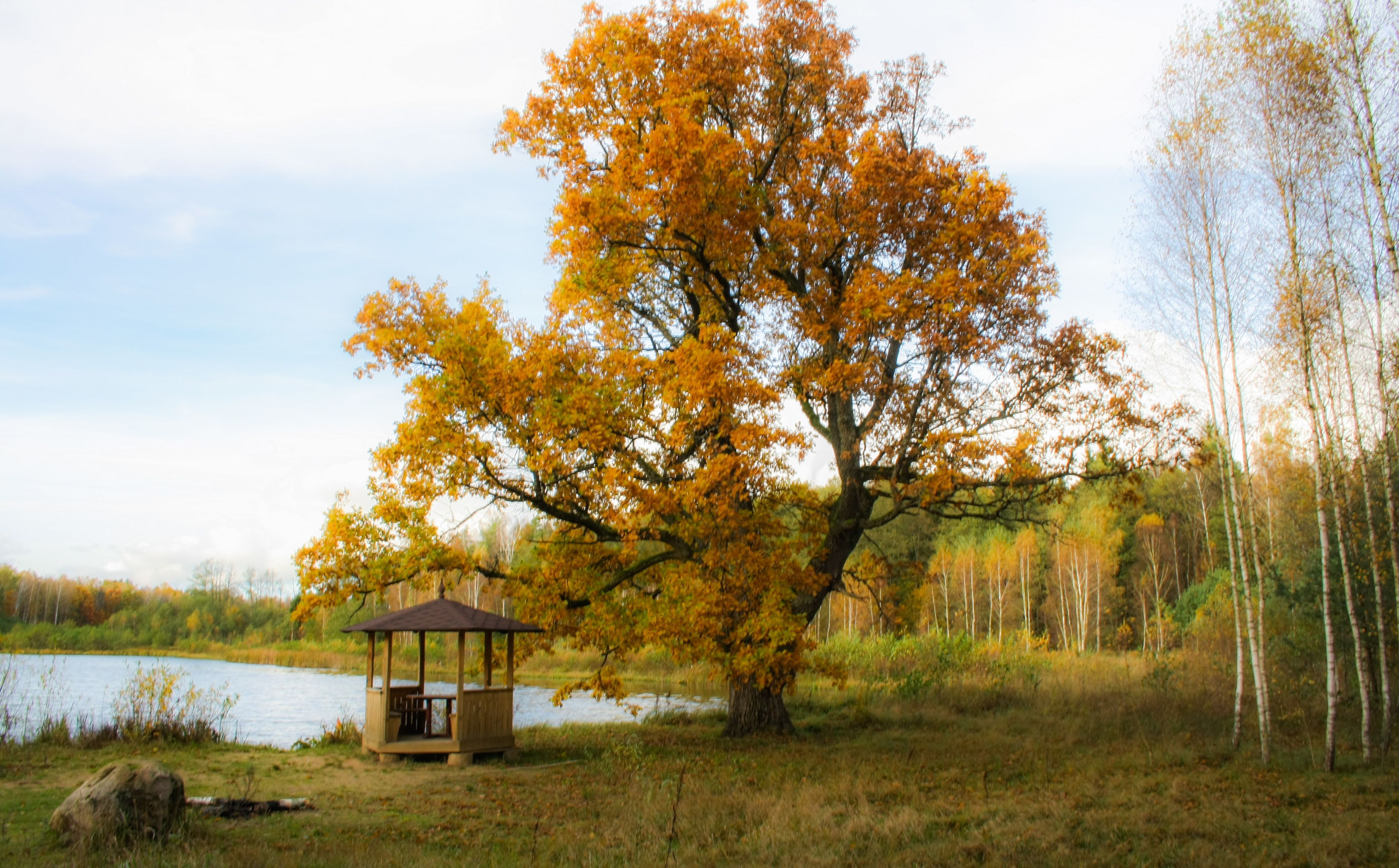 A gazebo near a lake surrounded by trees with autumn foliage.