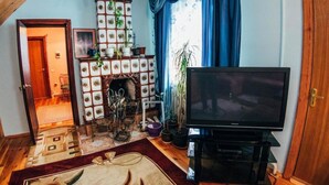 Un salon avec une cheminée, un téléviseur et diverses plantes.