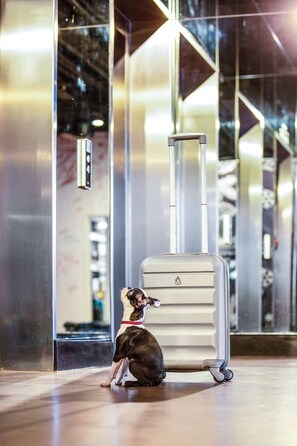 Guests can relax in the hotel's sleek lobby, featuring a polished floor and glass partition.