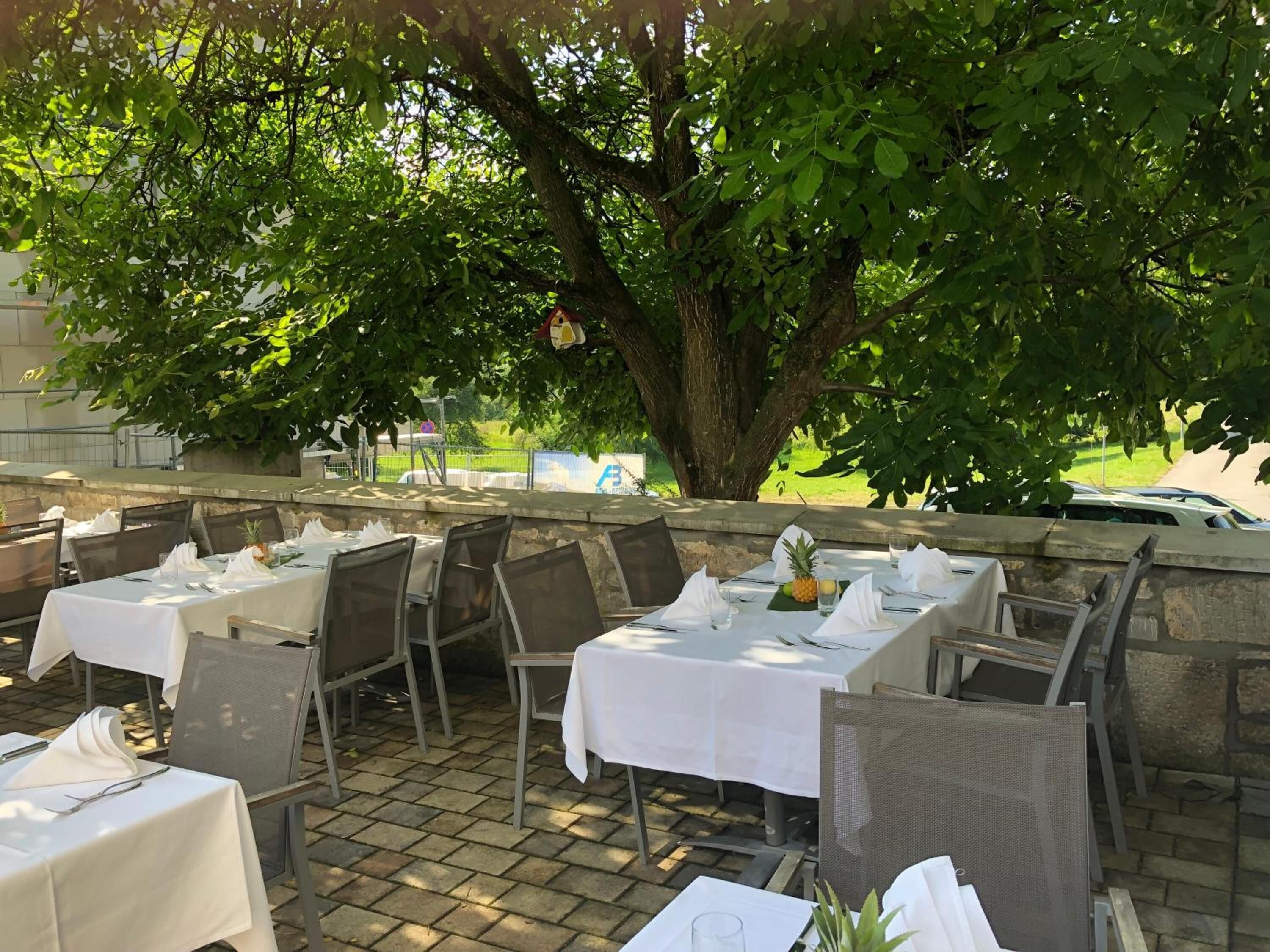 breakfast and dinner served, local and international cuisine