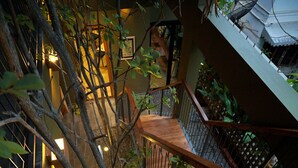 Un escalier avec des marches en bois et des rampes en métal, entouré de verdure et de plantes.