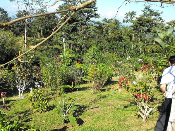 Terrain de l’hébergement 