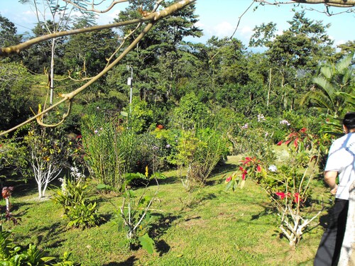 Montehidalgo de Los Alpes Cabin Rental