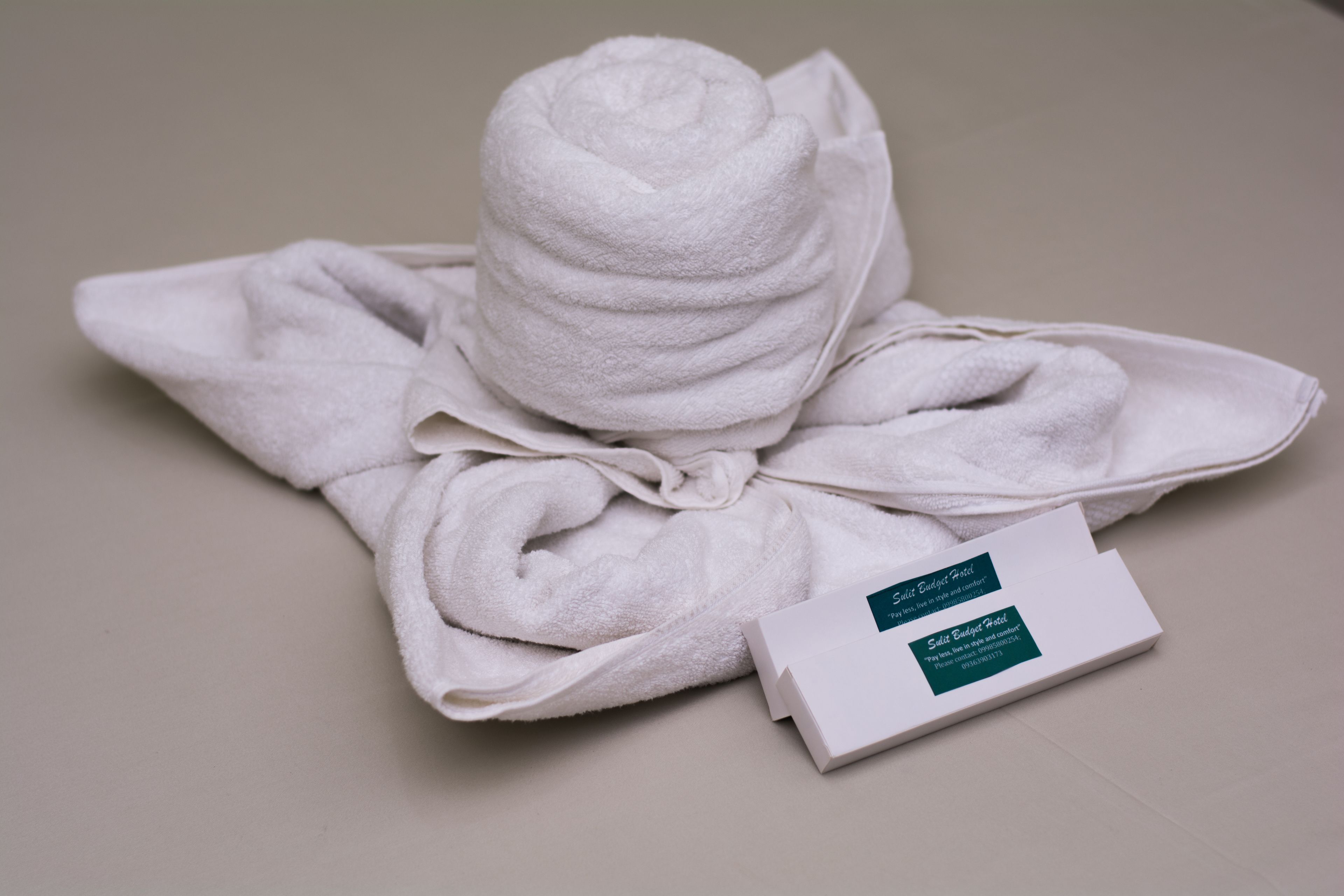 deluxe single room with private bathroom | bathroom amenities | shower, free toiletries, bidet, towels