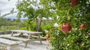 ハウス 2 ベッドルーム | テラス / パティオ