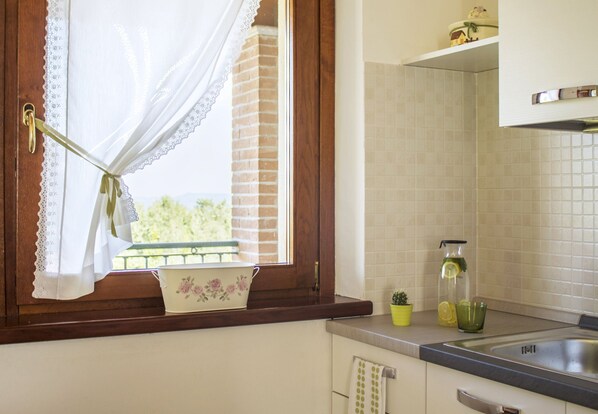 A kitchen with a window, a sink, and a small potted plant on the counter. - Panoramic apartment in villa with garden (Parella)