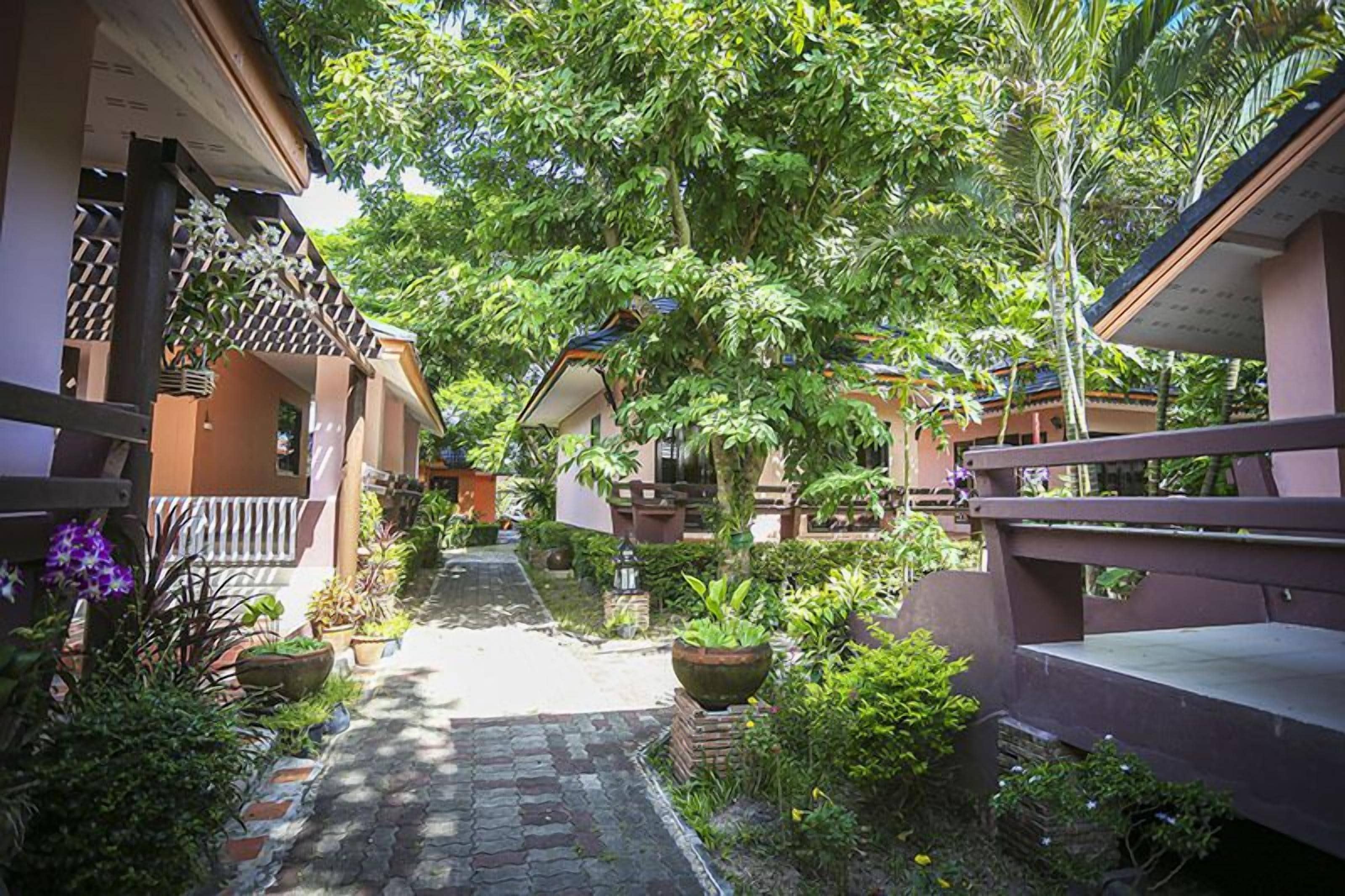 A pathway flanked by potted plants and traditional architecture, leading to a covered area with a view of the surrounding greenery.