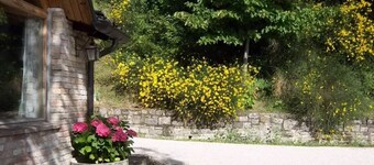 Beautiful self-catering flat for rent in the country