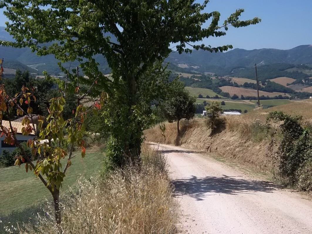 A rural dirt road with a tree on the left and a view of rolling hills in the background.