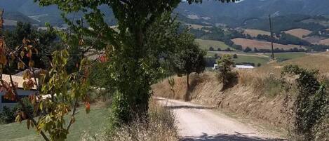 A rural dirt road with a tree on the left and a view of rolling hills in the background.