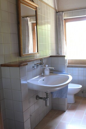Combined shower/bathtub, hair dryer, bidet, towels