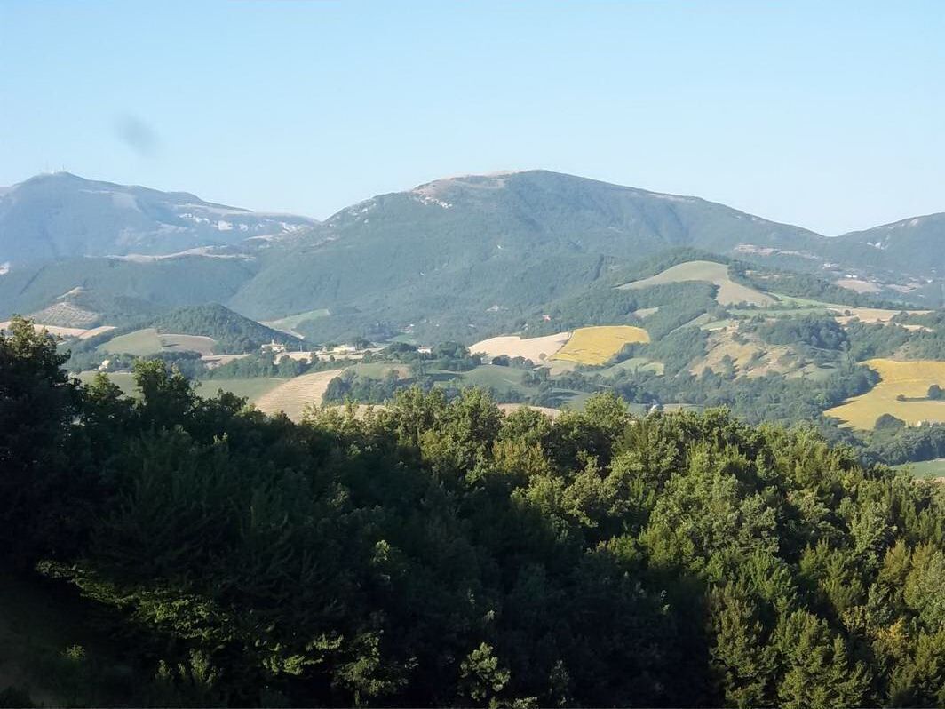 A mountainous landscape with a forested foreground and rolling hills in the background.