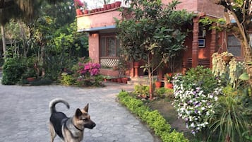 Jardí