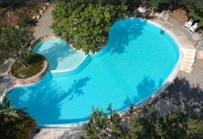 Une grande piscine de forme ovale, à l’eau d’un bleu limpide, entourée d’arbres et bordée de pierres.