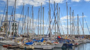 A marina with multiple sailboats docked. - Apt in Puerto Rico 100m From the Beach, Free Wifi, Community Pool and Garden (Las Palmas)