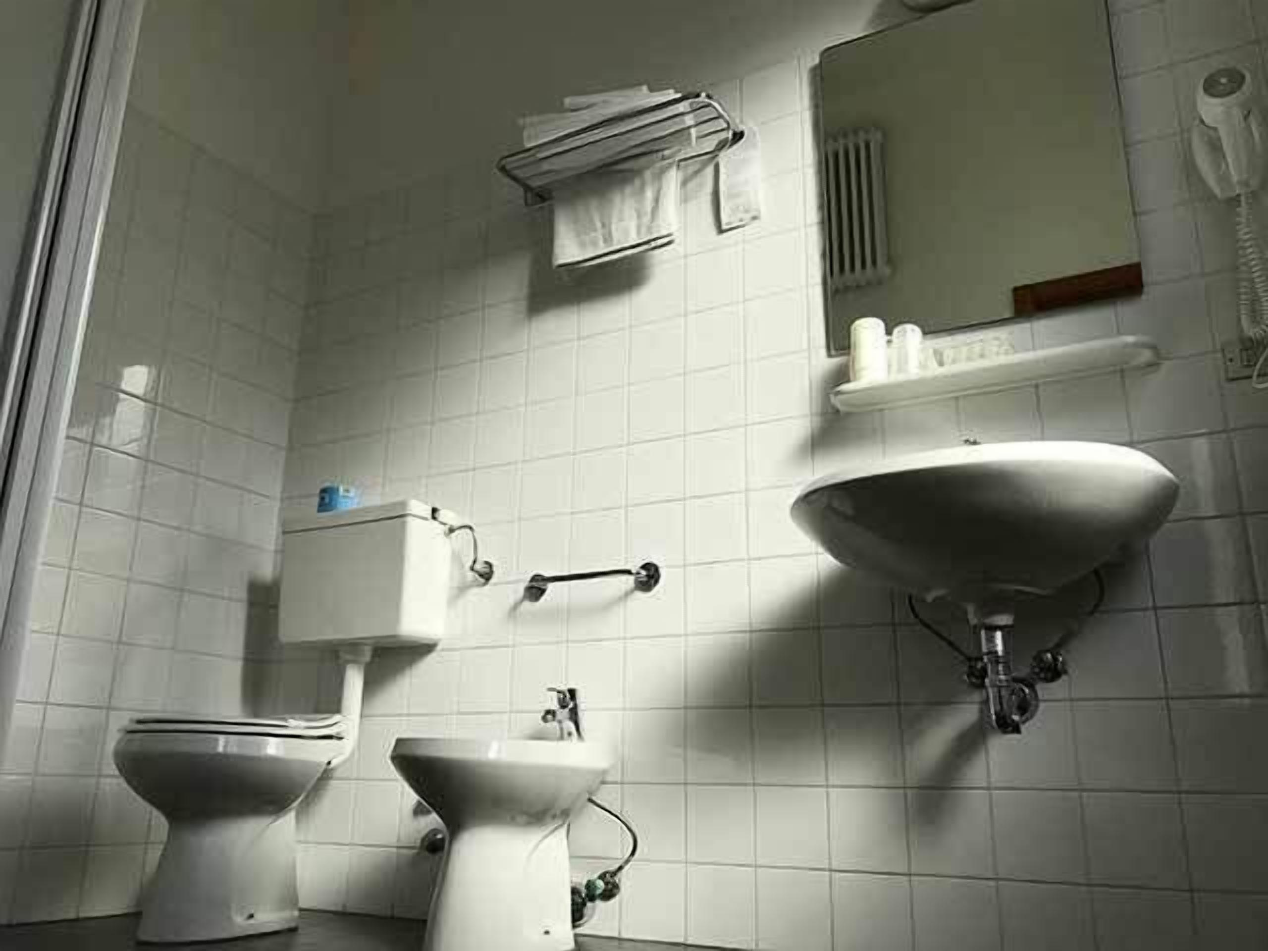 shower, free toiletries, hair dryer, bidet