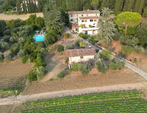 Exterior - Apartment with swimming pool and panoramic terrace, 2 steps from Florence  (Villamagna)