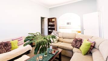 TV, Netflix, DVD player, streaming services