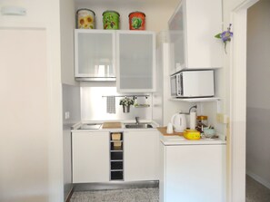 Fridge, microwave, stovetop, coffee/tea maker - 4 bedroom /4 bathroom apartment in historic center of Lucca (Lucca)