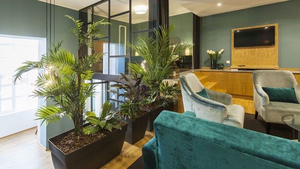 A modern living room with a large potted plant, a sofa, and a television. - Abbey Apartments City Center I Bolhão Market (Porto)