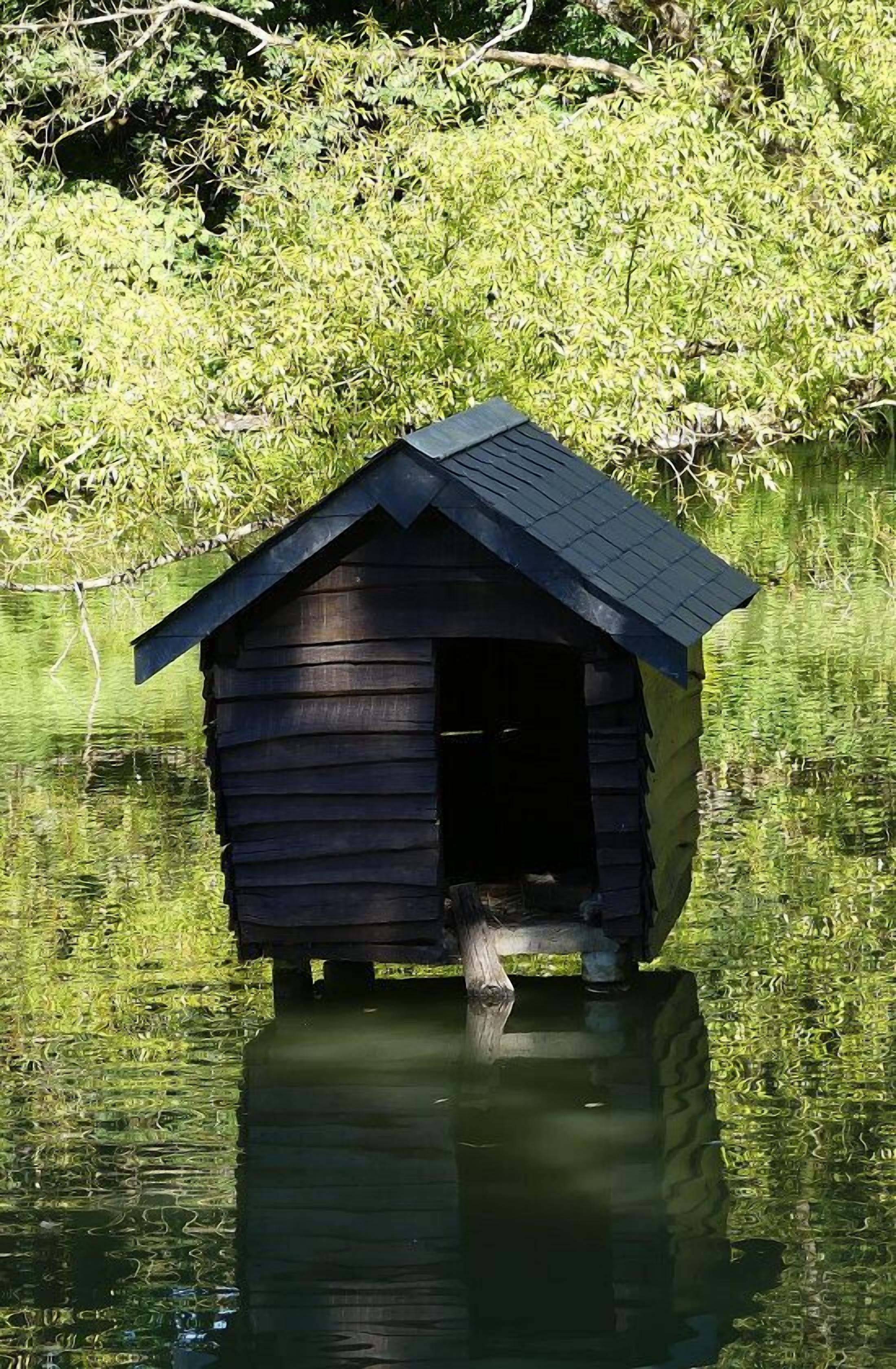 A wooden structure with a pitched roof, partially submerged in water, surrounded by dense greenery.