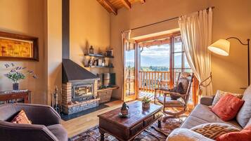 Televisión, chimenea y libros