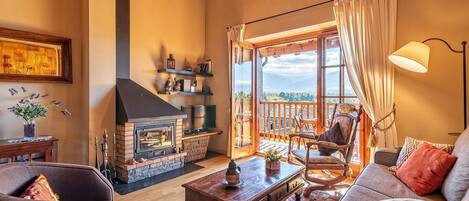 TV, fireplace, books