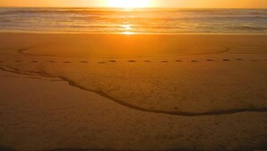 Une plage où l’on voit des empreintes de pas menant à l’eau, un ciel dégagé et le soleil se couchant ou se levant.