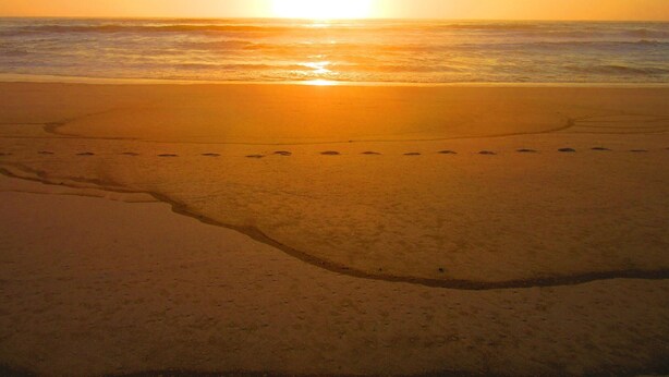A beach with footprints leading to the water, a clear sky, and the sun setting or rising. - S. Thomé Apartamentos Turisticos- Ovar (Ovar)