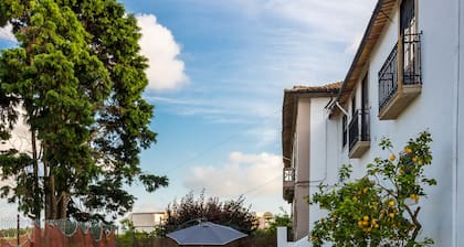 S. Thomé Apartamentos Turisticos- Ovar