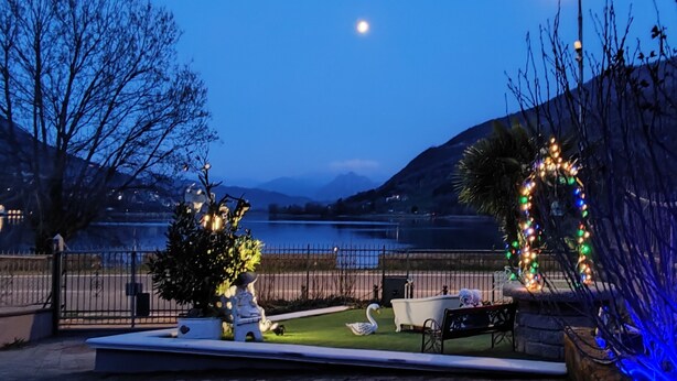 A patio area with a bench, a swan decoration, and a Christmas tree.