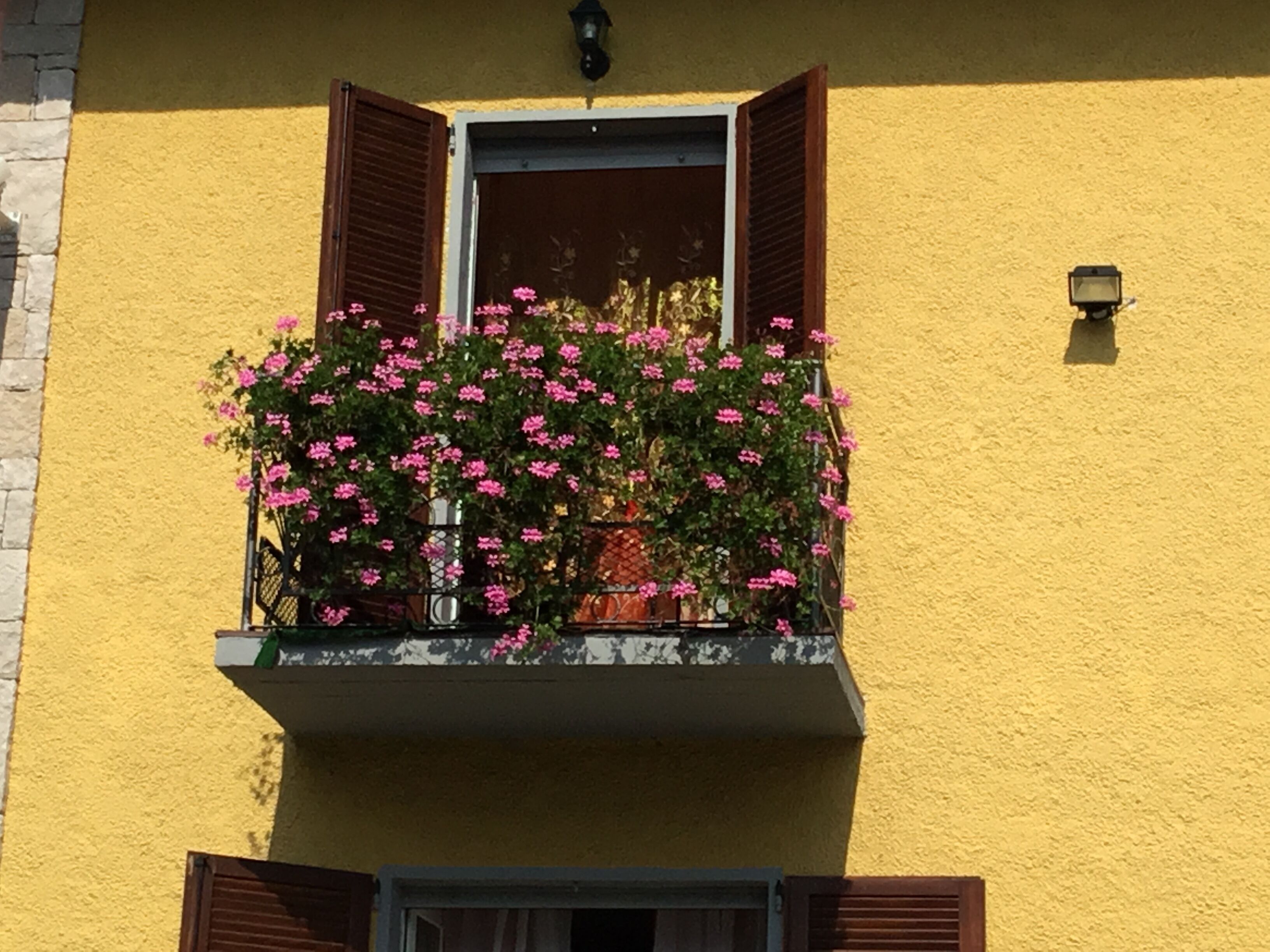 Detalle del exterior