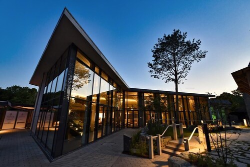 Komfort Ferienwohnung 50 m² für 2 Personen